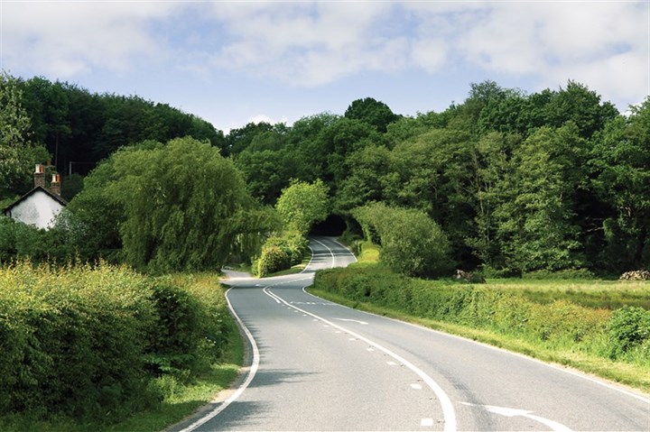 surrey-head-500.jpg