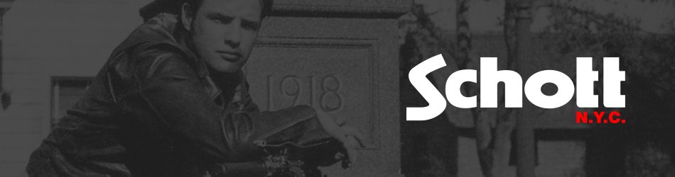 Schott-header