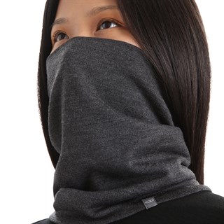 Icebreaker 260 Apex chute in greyAlternative Image3