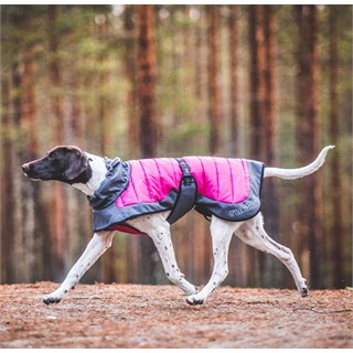 Rukka Airborn Hybrid dog jacket in pinkAlternative Image1