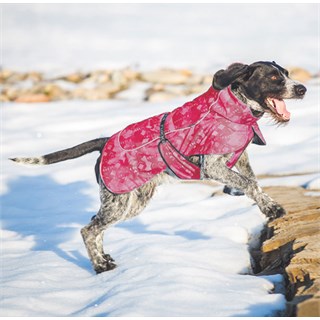 Rukka Frosty winter dog jacket in pinkAlternative Image5