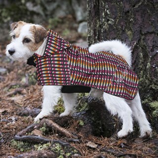 Rukka Hike light dog jacket in pinkAlternative Image5