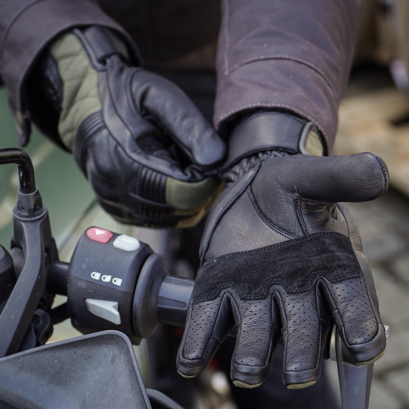 Gants Belstaff Hampstead forest green